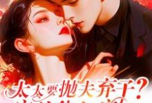 许觅小说免费阅读完整版-红梅文学