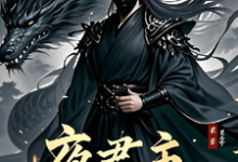 夜君主江南小说大结局免费试读-红梅文学