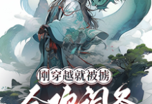 完整版小说《刚穿越就被掳,合欢词条什么鬼?》免费阅读-红梅文学