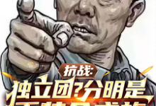 《抗战:独立团?分明是重装合成旅》李成虎李云龙完整版小说免费阅读-红梅文学