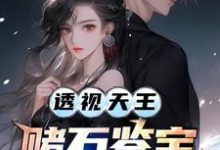 透视天王:赌石鉴宝财色无双免费阅读,透视天王:赌石鉴宝财色无双章节在线阅读-红梅文学
