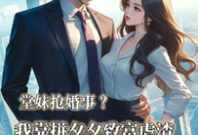堂妹抢婚事?我靠拼夕夕致富虐渣(杨佩兰)完整版在线免费阅读-红梅文学