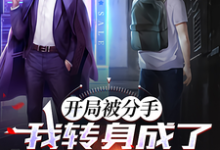 小说《开局被分手,我转身成为万亿富豪》在线章节阅读-红梅文学