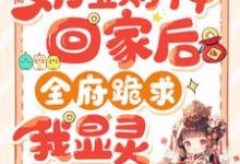 《奶宝财神回家后,全府跪求我显灵》滚宝小说免费阅读完整版-红梅文学