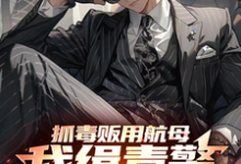 抓毒贩用航母?我缉毒警无限摇人秦峰小说在线章节目录阅读最新章节-红梅文学
