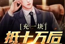 完结版《充一块抵十万后，我赢麻了》免费阅读-红梅文学