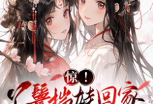 惊!丫鬟揣娃回家,走出康庄大道小说有没有完整的免费版本在线阅读?-红梅文学
