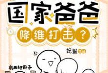 寻找潜规则,你让国家爸爸降维打击?小说的最新更新章节-红梅文学