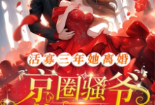 小说《活寡三年她离婚,京圈骚爷悔红眼》章节免费阅读-红梅文学