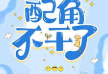 宋翊寒小说叫什么(快穿:配角不干了完整版免费阅读)-红梅文学