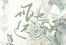 小说《倾世迟欢》在线章节阅读-红梅文学