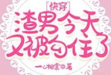 快穿:渣男今天又被勾住了小说有没有完整的免费版本在线阅读?-红梅文学