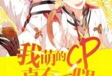 完结版《我萌的cp真有一腿》章节阅读-红梅文学