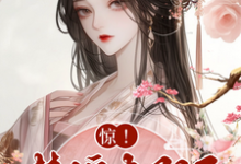 《惊,替嫁太子妃竟是神医?》司星辰傅元承小说免费阅读完整版-红梅文学