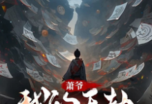 萧爷:我的天劫我做主小说无弹窗阅读的网站推荐-红梅文学