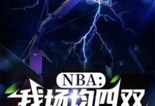 哪里可以免费找到NBA:我场均四双,得分为零?-红梅文学