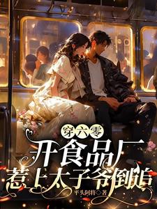 夏荷小说《穿六零开食品厂，惹上太子爷倒追》完整版免费阅读