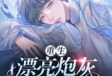 ［重生］漂亮炮灰拿了逆袭剧本小说全文哪里可以免费看？-红梅文学