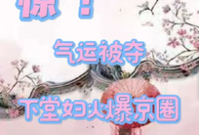 《惊!气运被夺,下堂妇火爆京圈》小说章节列表免费试读,叶采苓燕擎天小说在线阅读-红梅文学