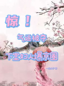 《惊！气运被夺，下堂妇火爆京圈》小说章节列表免费试读，叶采苓燕擎天小说在线阅读