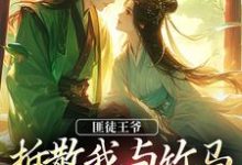 完结版《匪徒王爷拆散我与竹马,逼我嫁他!》在线免费阅读-红梅文学