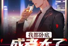 《我都卧底成老大了，还不收网？》小说免费阅读完整版-红梅文学