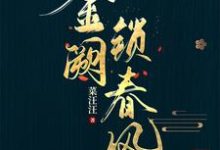 金阙锁春风小说无弹窗阅读的网站推荐-红梅文学