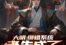 楚轩小说在线章节免费阅读(大明:绑错系统,老朱成了我岳父无弹窗无删减)-红梅文学