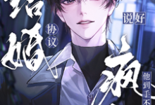 完结版《说好协议结婚,疯批他到手不放人》章节阅读-红梅文学