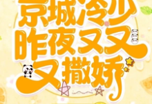 求哇枭!京城冷少昨夜又又又撒娇!小说的全文免费阅读链接-红梅文学
