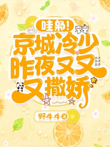 求哇枭！京城冷少昨夜又又又撒娇！小说的全文免费阅读链接