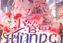 何梦清小说《综影视:少管我们npc》完整版免费阅读-红梅文学