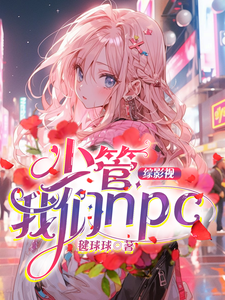 何梦清小说《综影视：少管我们npc》完整版免费阅读