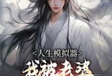 完结版《人生模拟器:我被老婆逼成世间极境》免费阅读-红梅文学