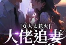 女人太惹火,大佬追妻有点甜这本小说完结了吗?免费查看最新章节-红梅文学