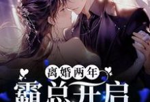完结版《离婚两年,霸总开启追妻之旅》免费阅读-红梅文学