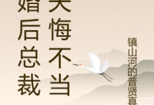 小说《离婚后总裁前夫悔不当初》完整版在线章节免费阅读-红梅文学