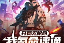 哪里能找到开局无限命,我氪命速通全球副本小说的最新更新和免费章节?-红梅文学