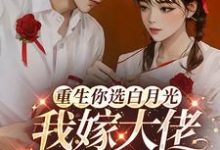 沈清辞赵青云完整版《重生你选白月光,我嫁大佬你哭啥》小说免费阅读-红梅文学