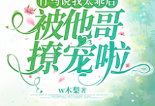 竹马说我太乖后,被他哥撩宠啦小说的最新章节在哪里更新?免费追踪阅读-红梅文学