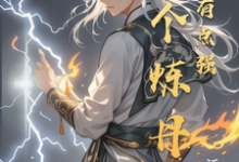 云尘林婉儿小说完整版《这个炼丹师战力有点强》免费阅读-红梅文学