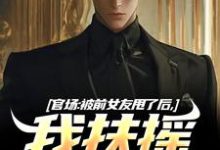 《官场:被前女友甩了后,我扶摇直上》完整版小说免费阅读-红梅文学