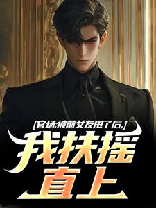 《官场：被前女友甩了后，我扶摇直上》完整版小说免费阅读