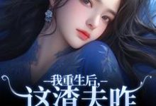 林菀宁小说《我重生后，这渣夫咋还换人格了》完整版免费阅读-红梅文学