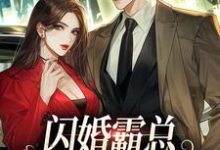 已完结小说《闪婚霸总,只虐渣不谈情》章节在线阅读-红梅文学