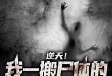 逆天！我一搬尸体的，天天撞鬼小说全文哪里可以免费看？-红梅文学