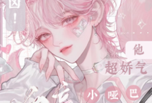 求别凶！漂亮小哑巴他超娇气小说的全文免费阅读链接-红梅文学