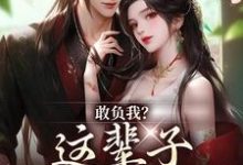 敢负我?这辈子你要惨咯小说全文阅读需要付费吗?寻找免费资源-红梅文学