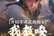 开局穿成富商独子,我教唆老爹造反小说有没有完结版在线?-红梅文学