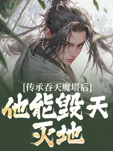 传承吞天魔塔后，他能毁天灭地！小说的无弹窗阅读体验，寻找免费阅读网站